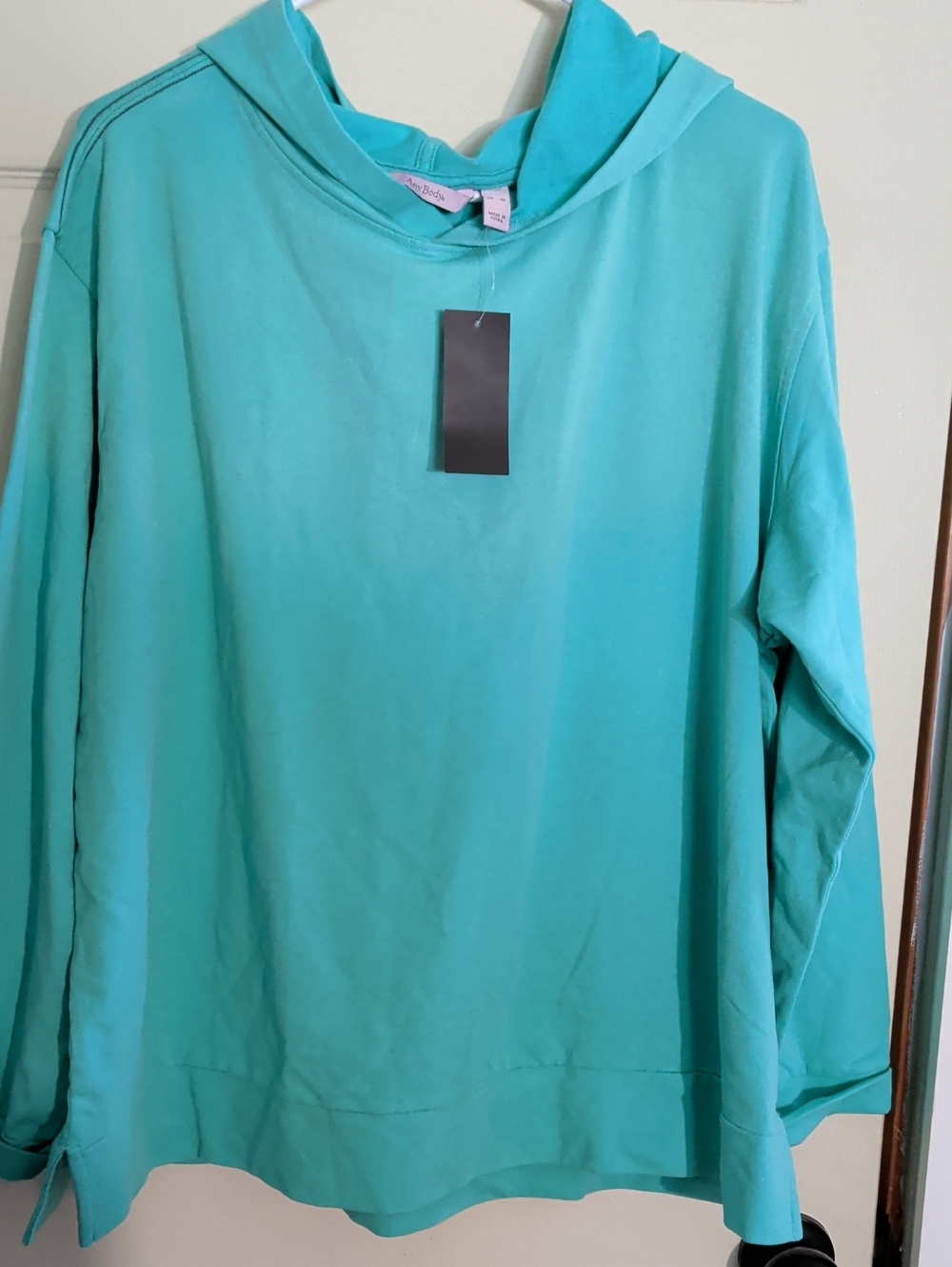 Anybody NWT XL Mint Hoodie